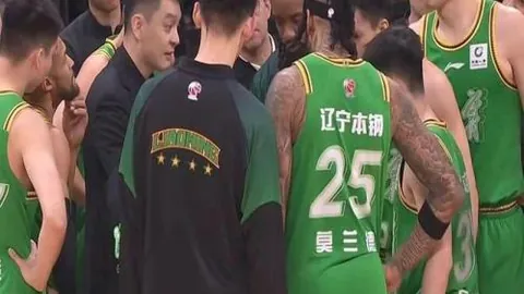 周五001澳超推荐：西悉尼流浪者对阿德莱德联专家质合分析